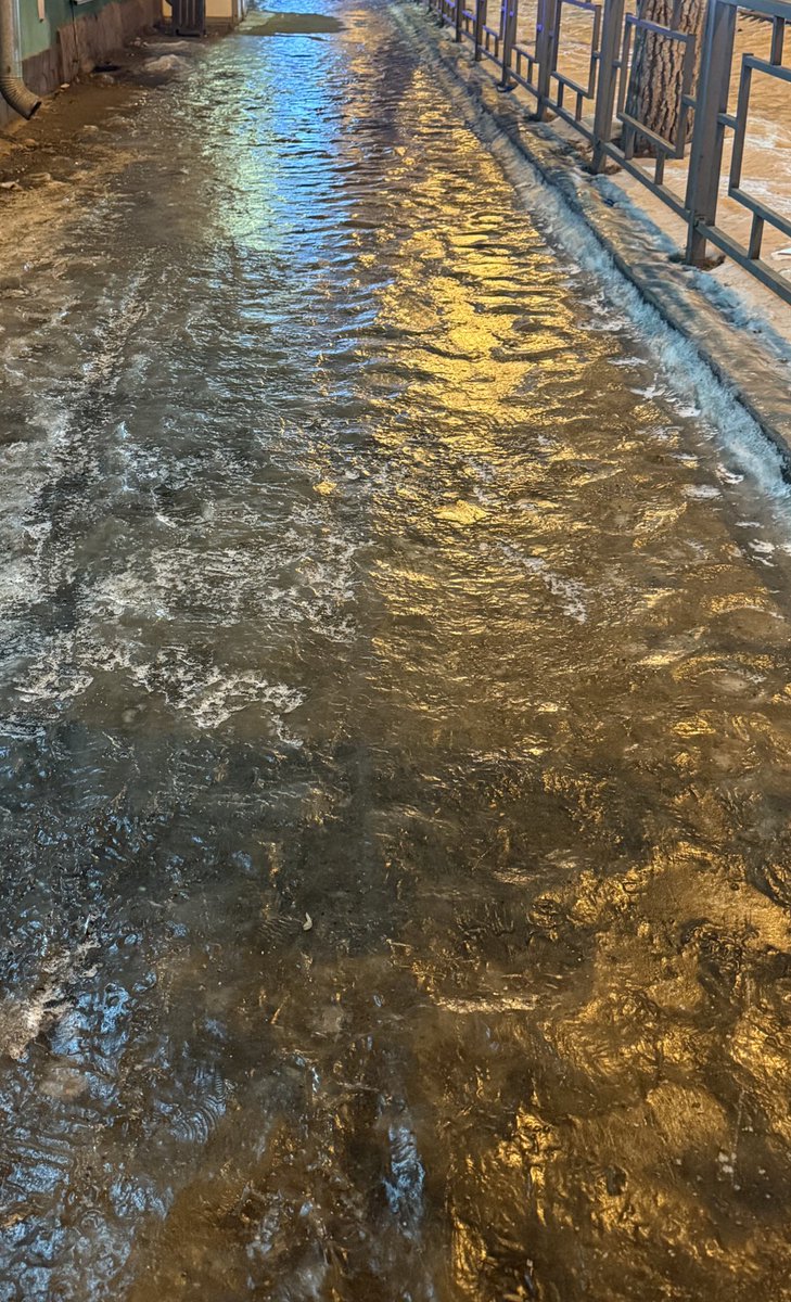 Dmitrieva tweet media