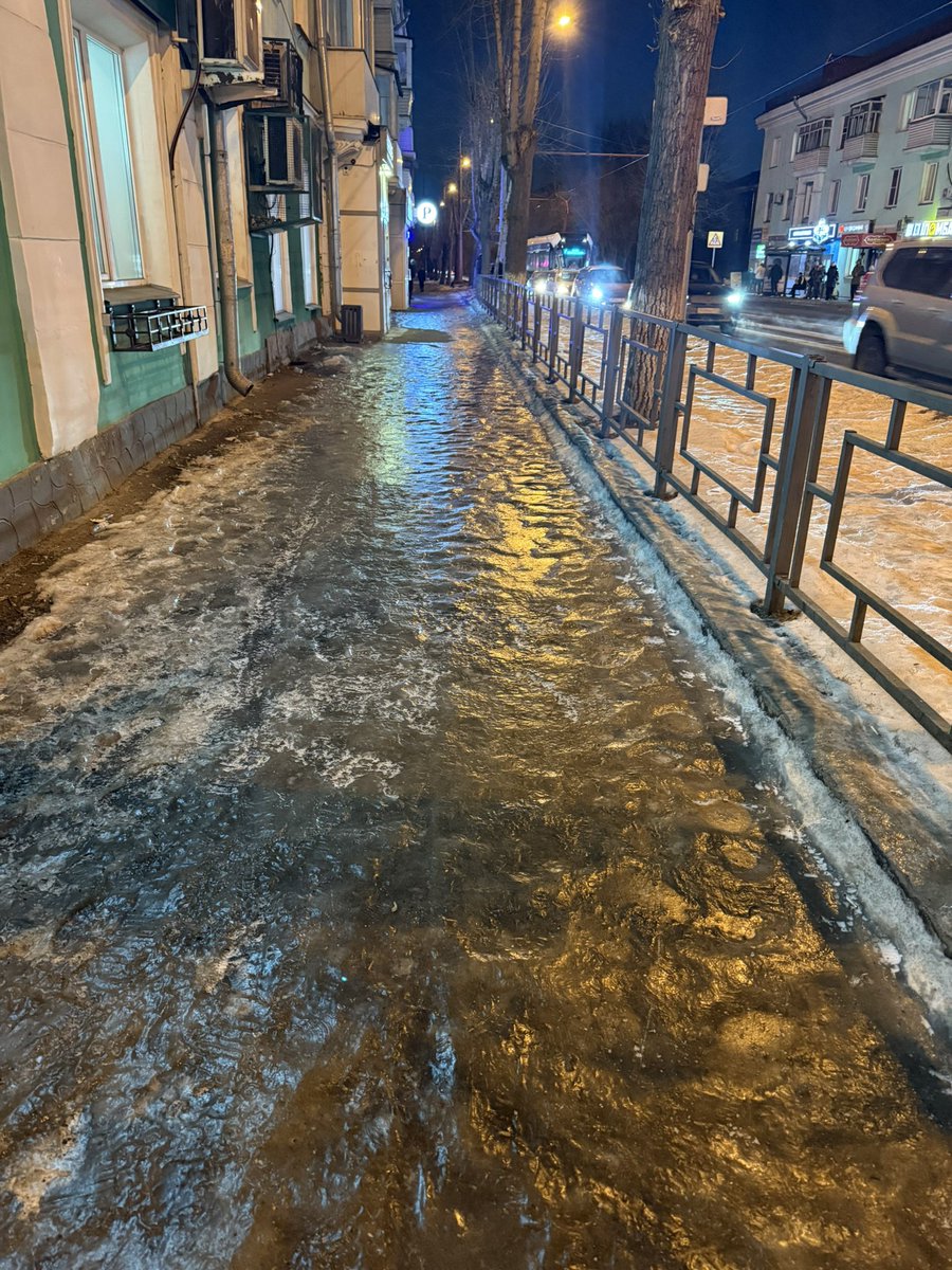 Dmitrieva tweet media