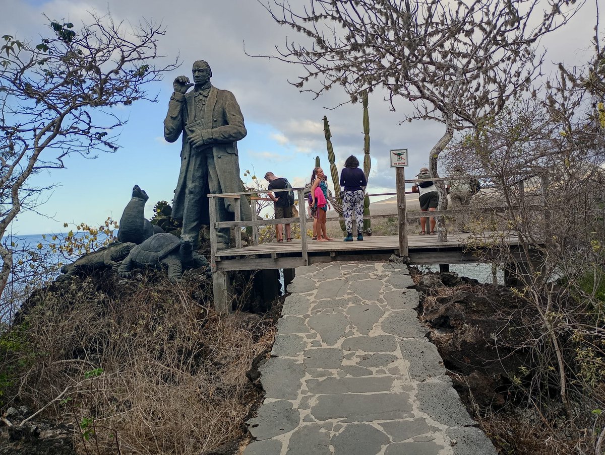 CamiAdventures's tweet photo. See playful sea lions in San Cristóbal!
A second-to-none experience where these amazing animals play right next to you 🤿✨
Live the adventure with CamiAdventures in the Galápagos!
📍 San Cristóbal Island

#CamiAdventures #SanCristobal #Galapagos #SeaLions #WildlifeExperience https://t.co/p2u0jSPtUE