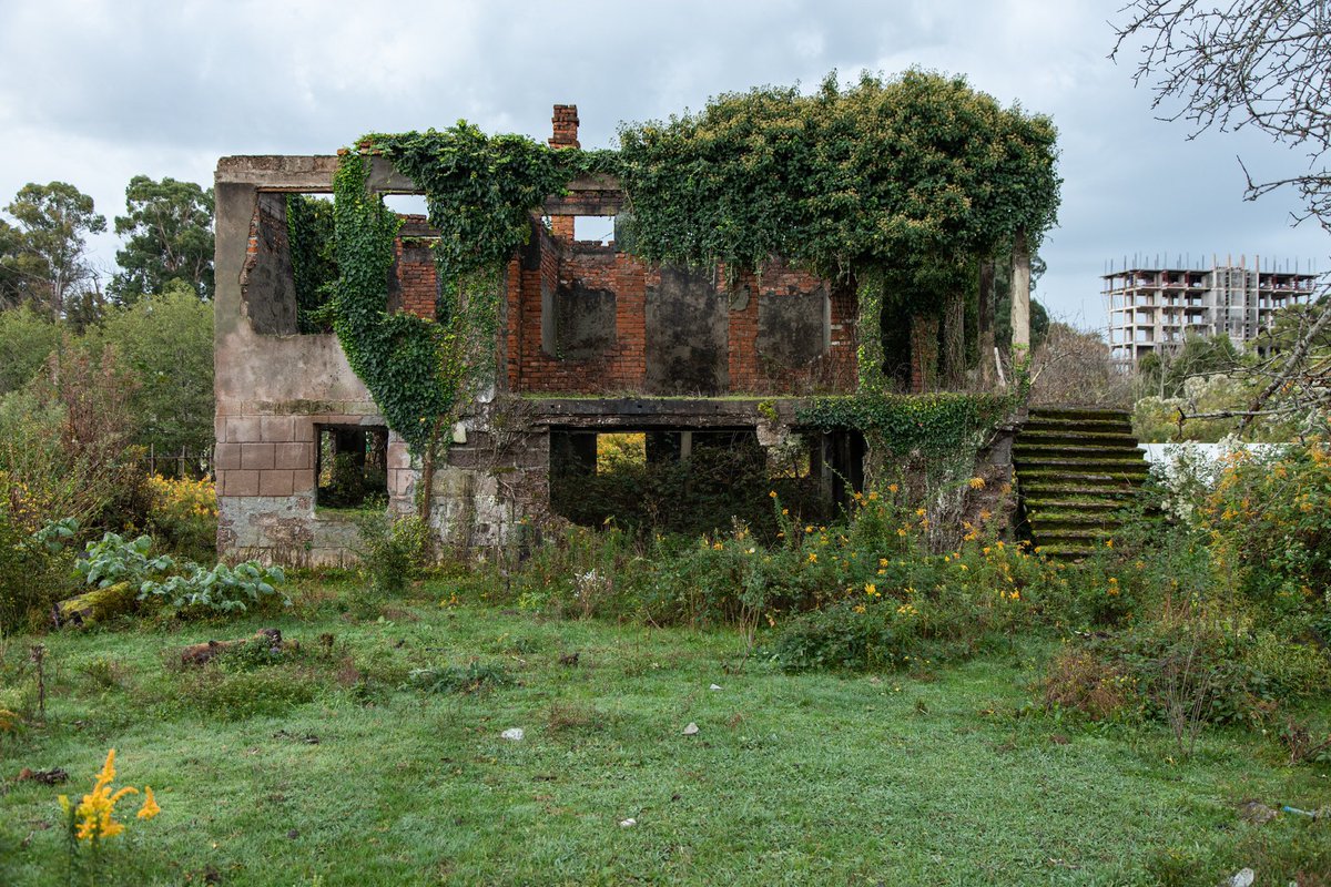 Амбассадор счастья tweet media