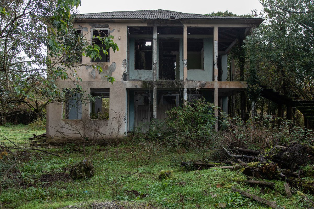 Амбассадор счастья tweet media