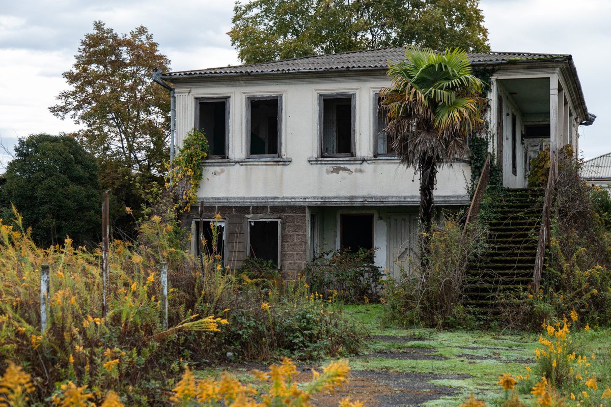 Амбассадор счастья tweet media