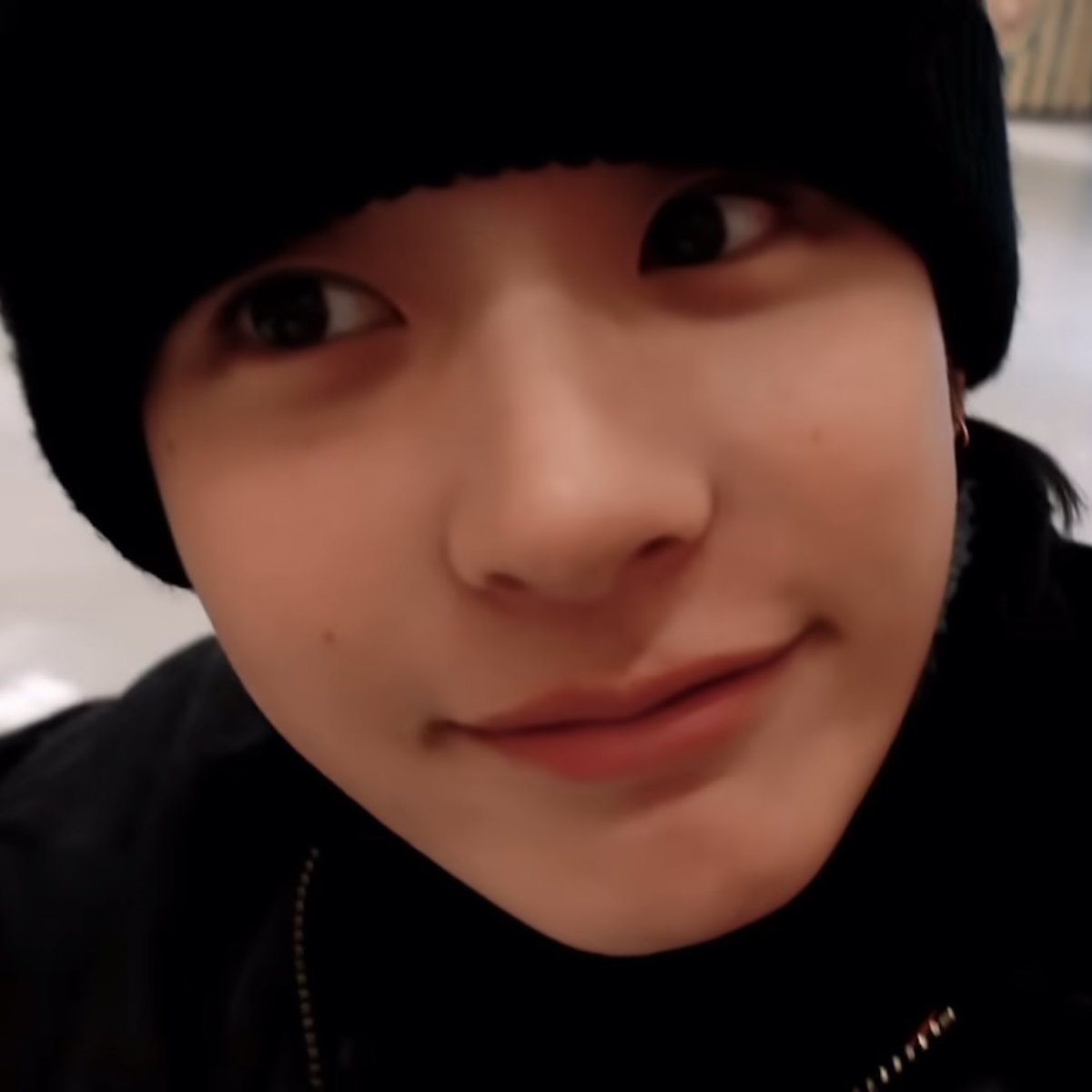 🐶🐷 tweet media