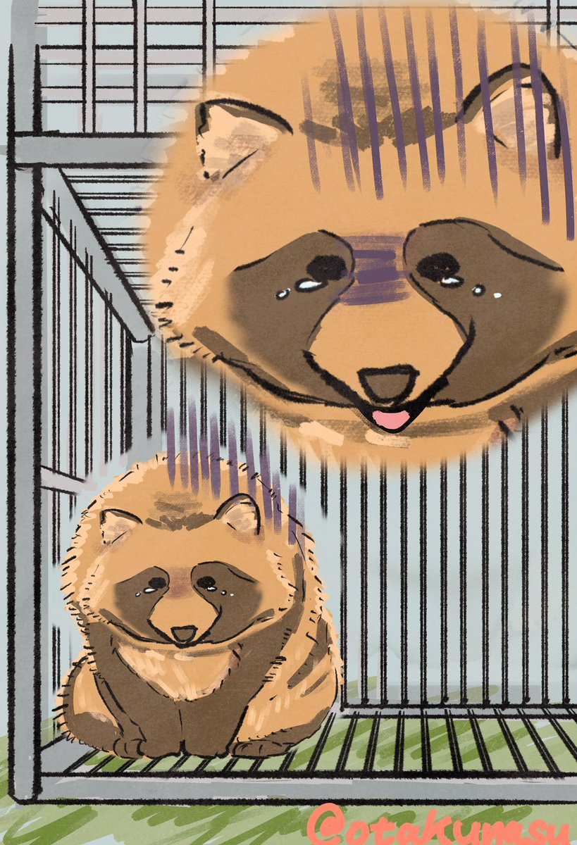 たぬきはもうおしまいです（扉開いてるよ）