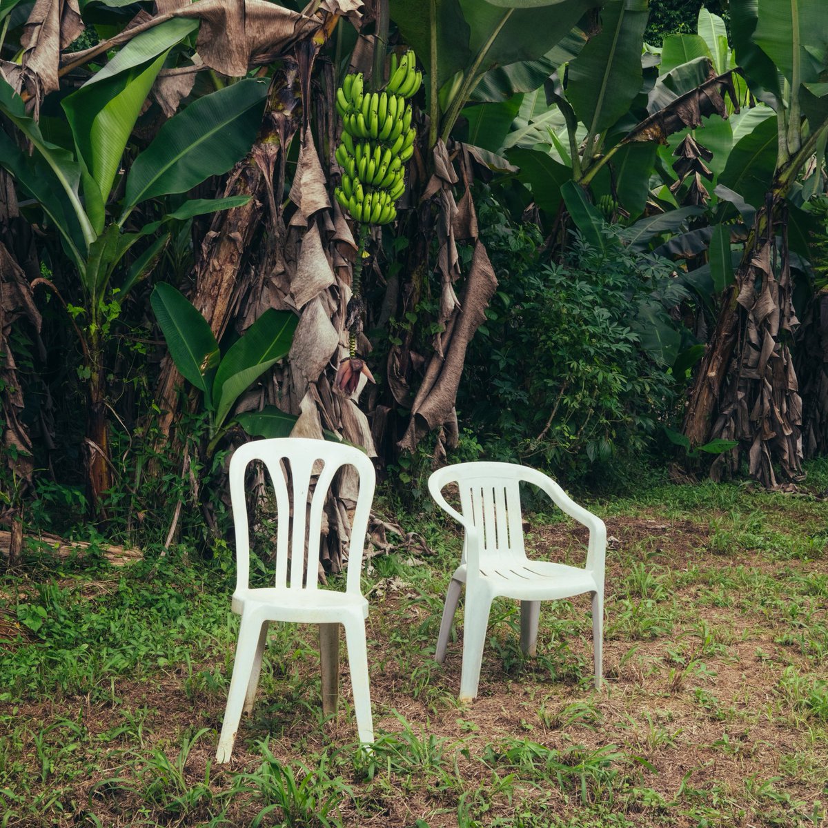 PopBase's tweet photo. ‘DtMF’ by Bad Bunny remains at #1 on the Global Spotify chart with 12.89 million streams.

It also remains at #1 on the US Spotify chart with 3.7 million streams. https://t.co/AbwKRXmiZ9