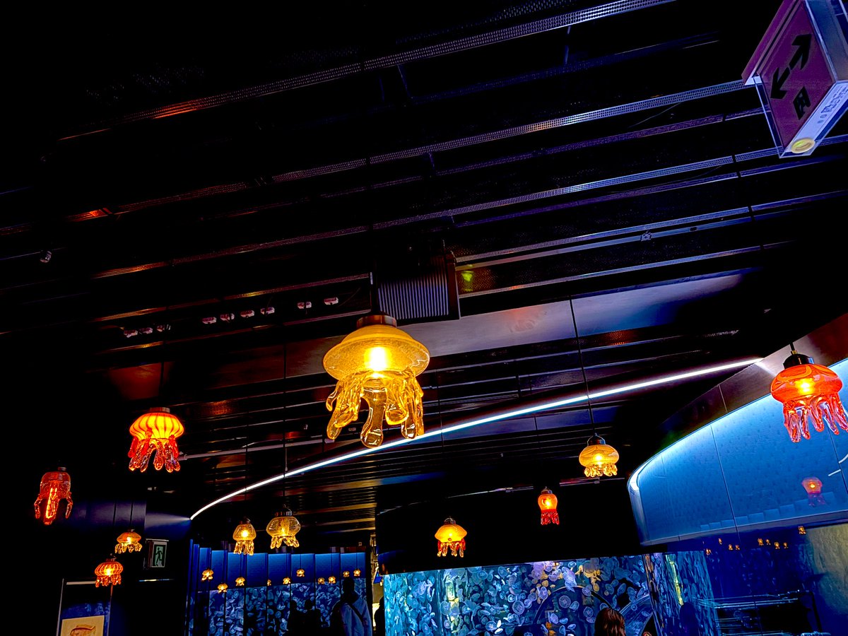 ミュの前に京都水族館にくらげ見に行ったんだけど、くらげランプ飾られる時期で綺麗だった😍でも全種売り切れで買えなかった🫠🫠
その後清水の方で着物で写真撮ってもらった！
遅延もあって劇場到着ギリギリ、
いっつも詰め込み過ぎってね😌