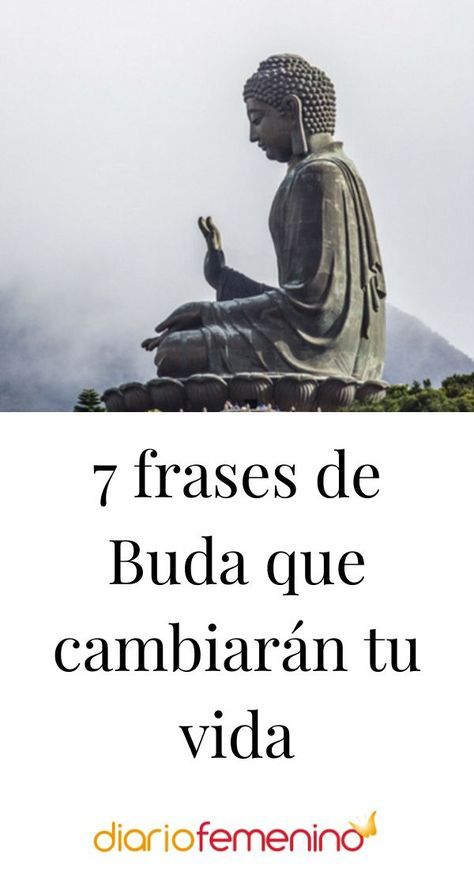 Jessekobar's tweet photo. 7 frases de Buda que cambiarán tu vida - Hilo - 🧵 https://t.co/pTmmVU1NOb