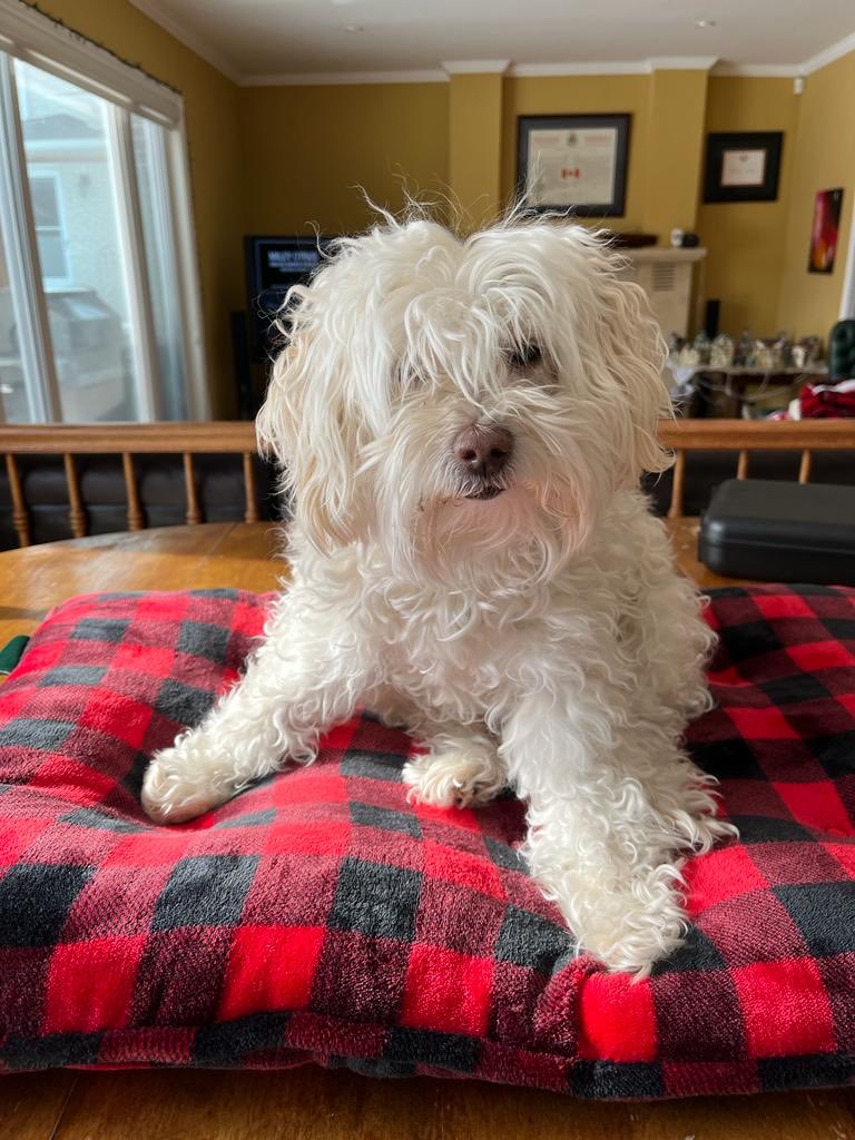 416hobbit tweet media