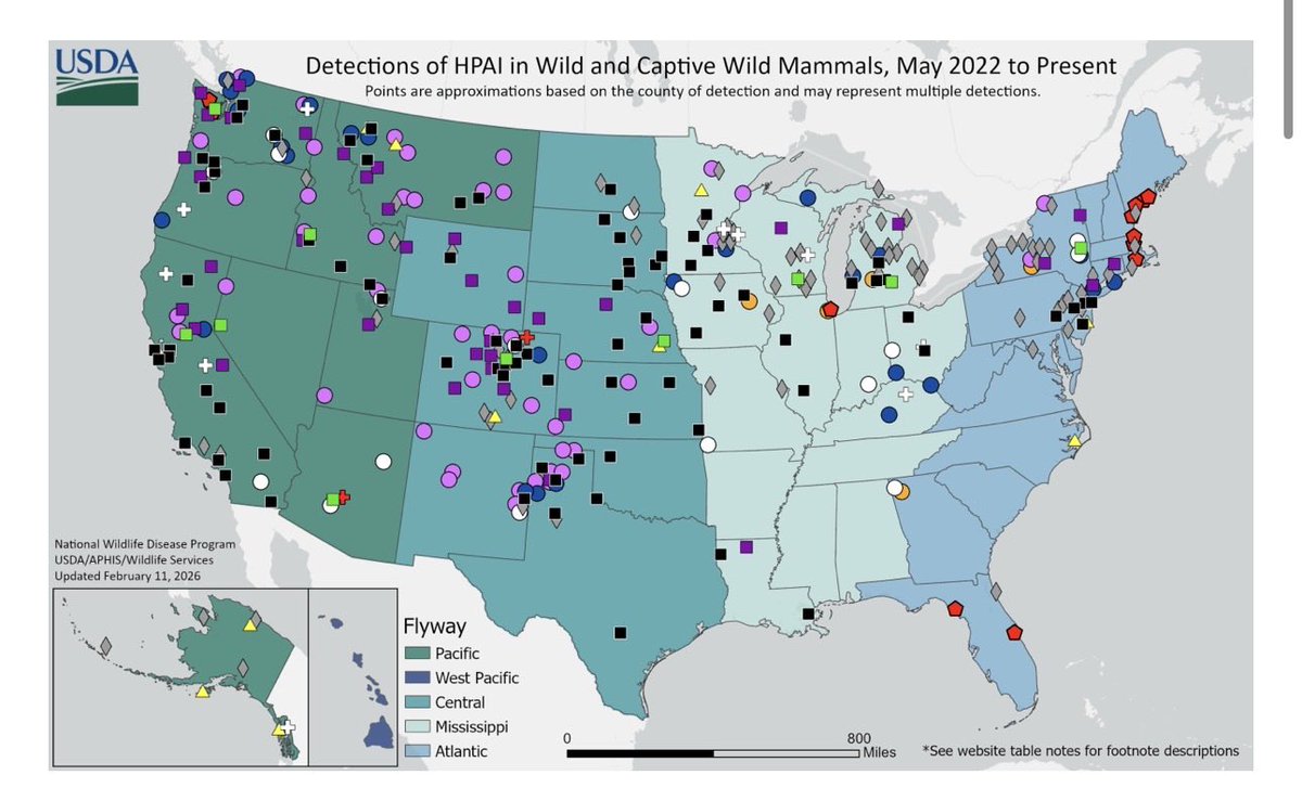 mryoung151's tweet photo. Detections of Highly Pathogenic Avian Influenza in Mammals https://t.co/UPKPiJscCC