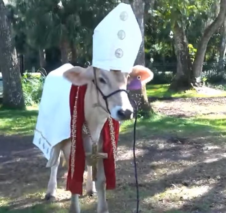 Takara Lend💎 tweet media