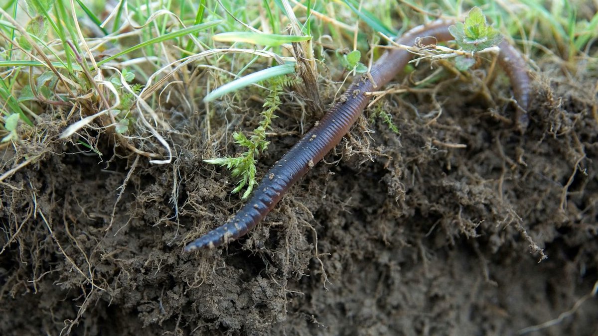 Agroscope tweet media