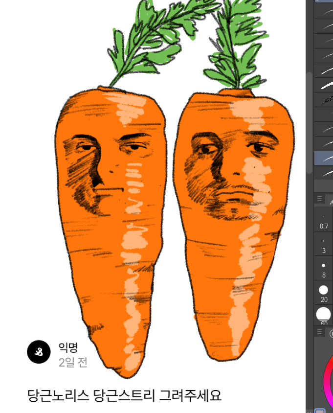 엊그제 카레 먹는데 엄마가 이런 당근을 넣어줌