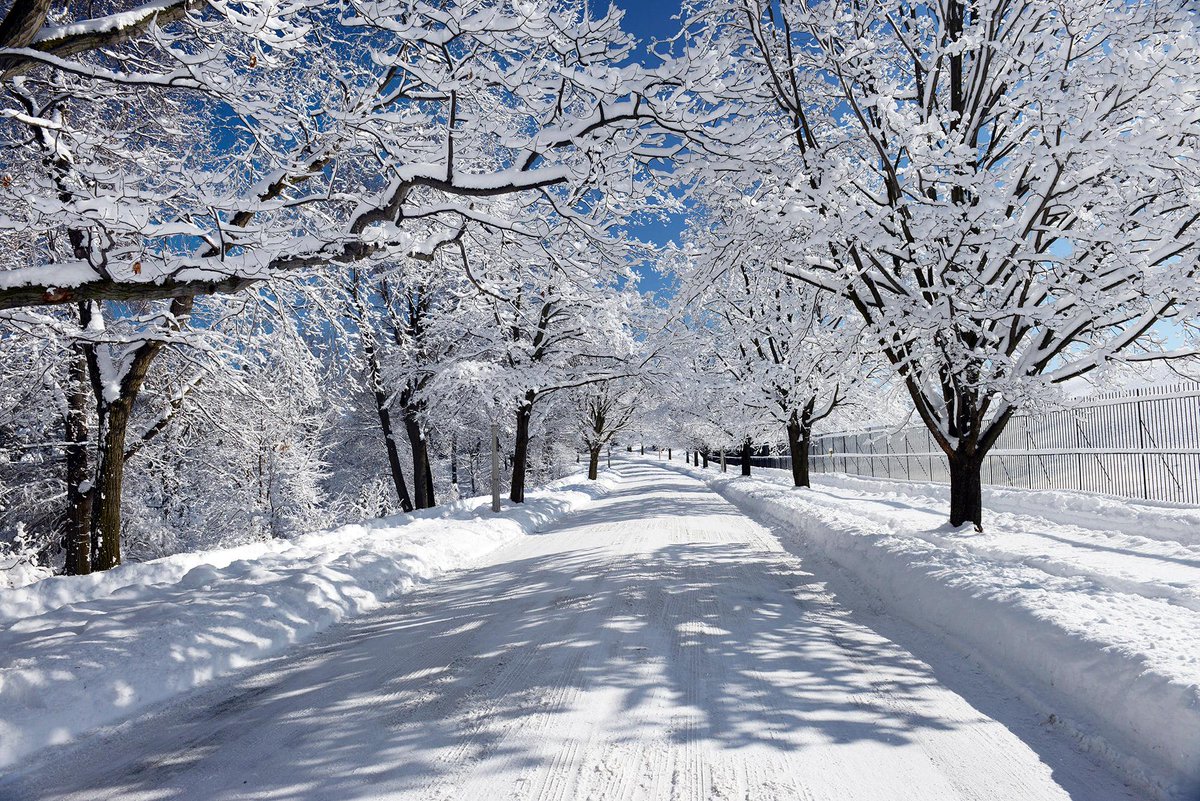 James Montanus tweet media