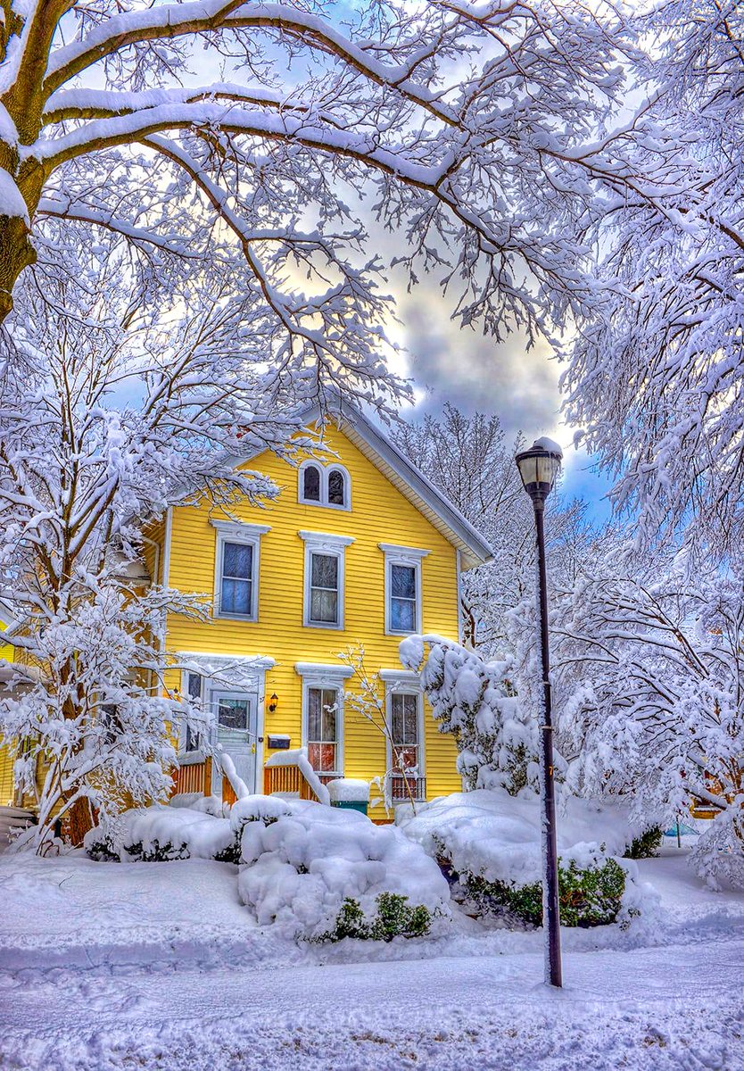 James Montanus tweet media