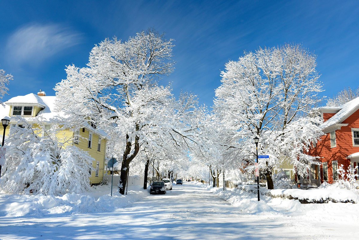 James Montanus tweet media