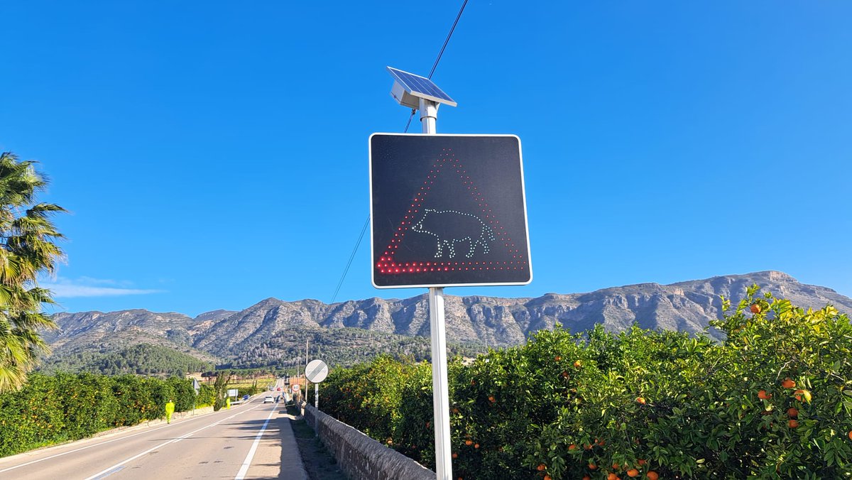 🐗 La Diputació de València [@<a href="/dipvalencia/">Diputació de València</a>] ha instal·lat un sistema innovador de senyalització a la Safor per a avisar que hi ha un porc senglar a la carretera.
📲web.apunt.es/6rJbl