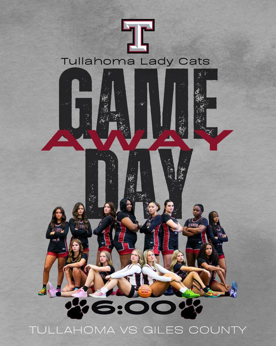 Lady Wildcats Hoops tweet media