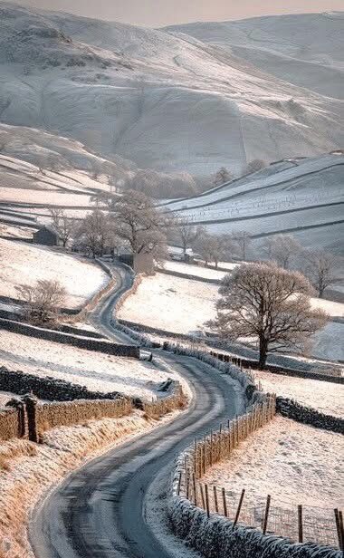 Au début du mois de juillet de l'année dernière 2025 , Dieu rend visite à Noé et lui dit : 
- « Une fois encore, la Terre est devenue invivable. Construis une Arche et rassemble un couple de chaque être vivant ainsi que quelques bons Humains . Dans six mois, le  mois de janvier