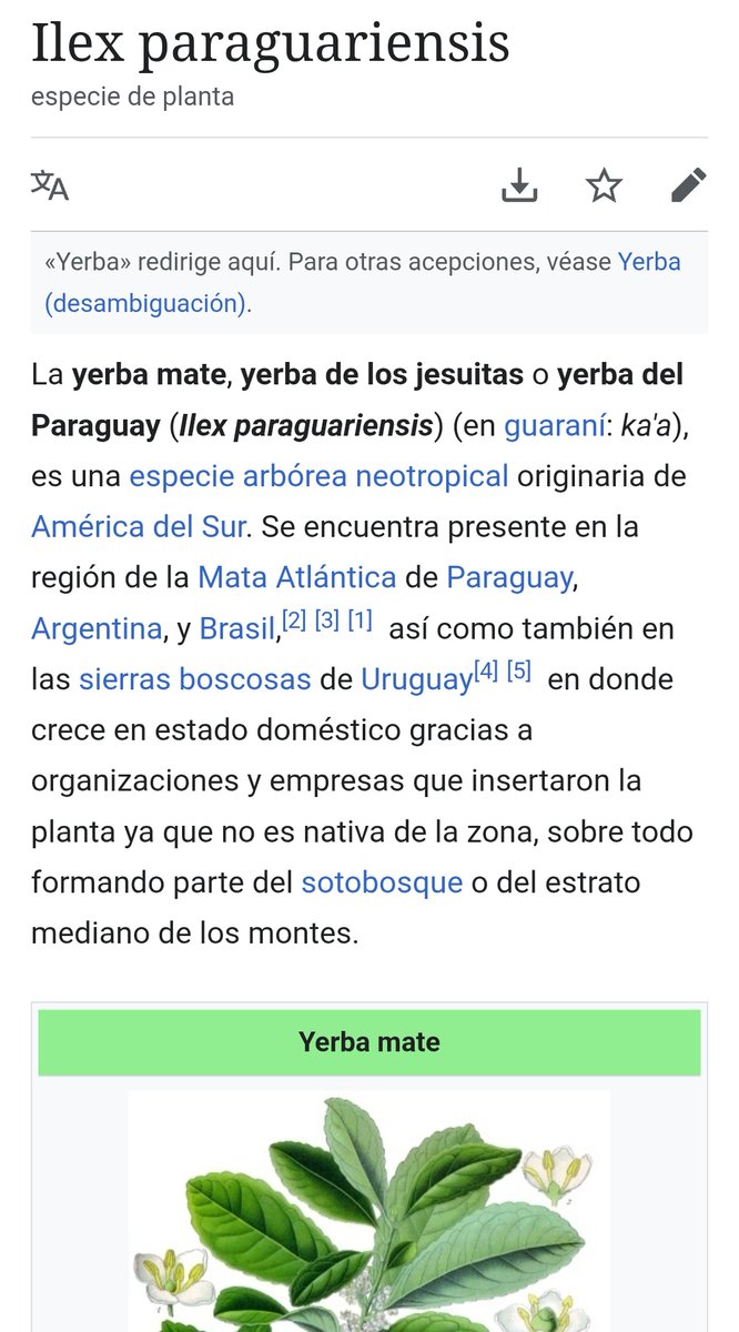 Mawi_96's tweet photo. No sé por qué se llama "paraguayensis" entonces jajajaja https://t.co/OQqToXcF1Z