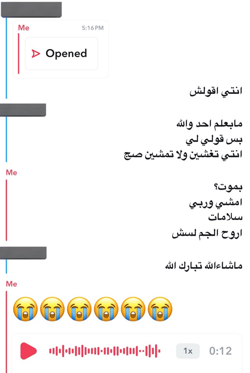 mariam tweet media