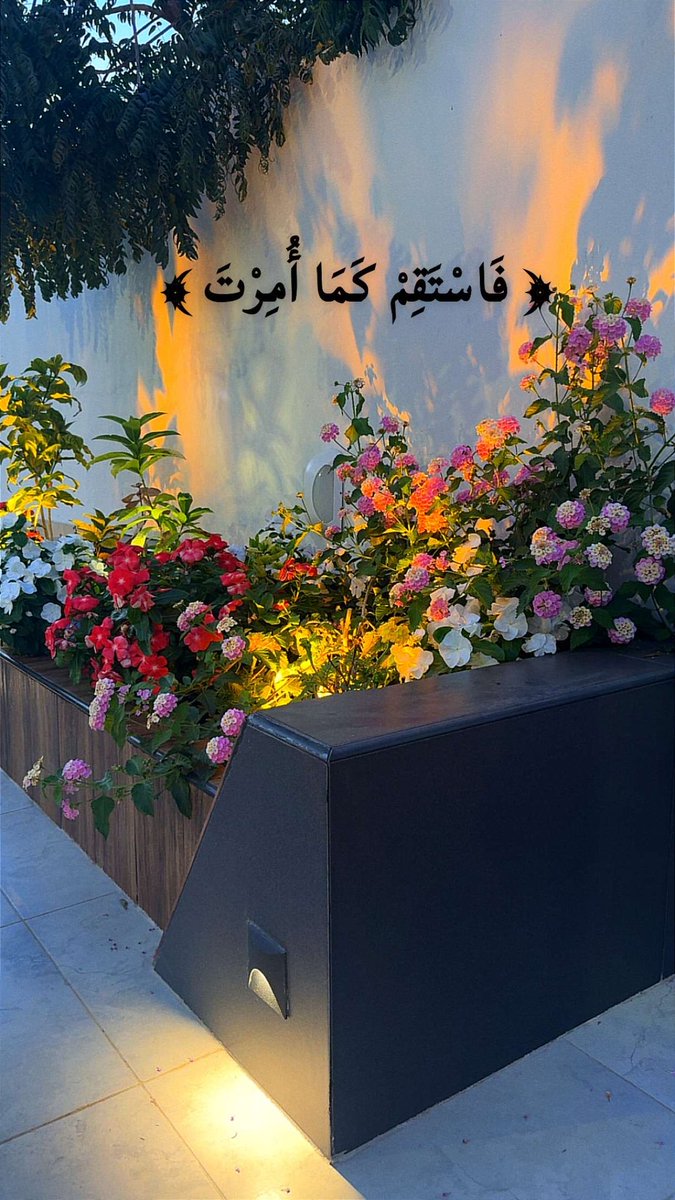 Mustafa19867744's tweet photo. https://t.co/ibmyhlKjiw