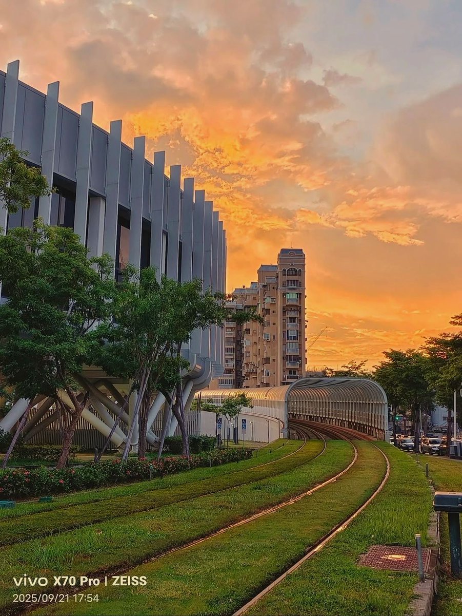 Dana Cheney tweet media