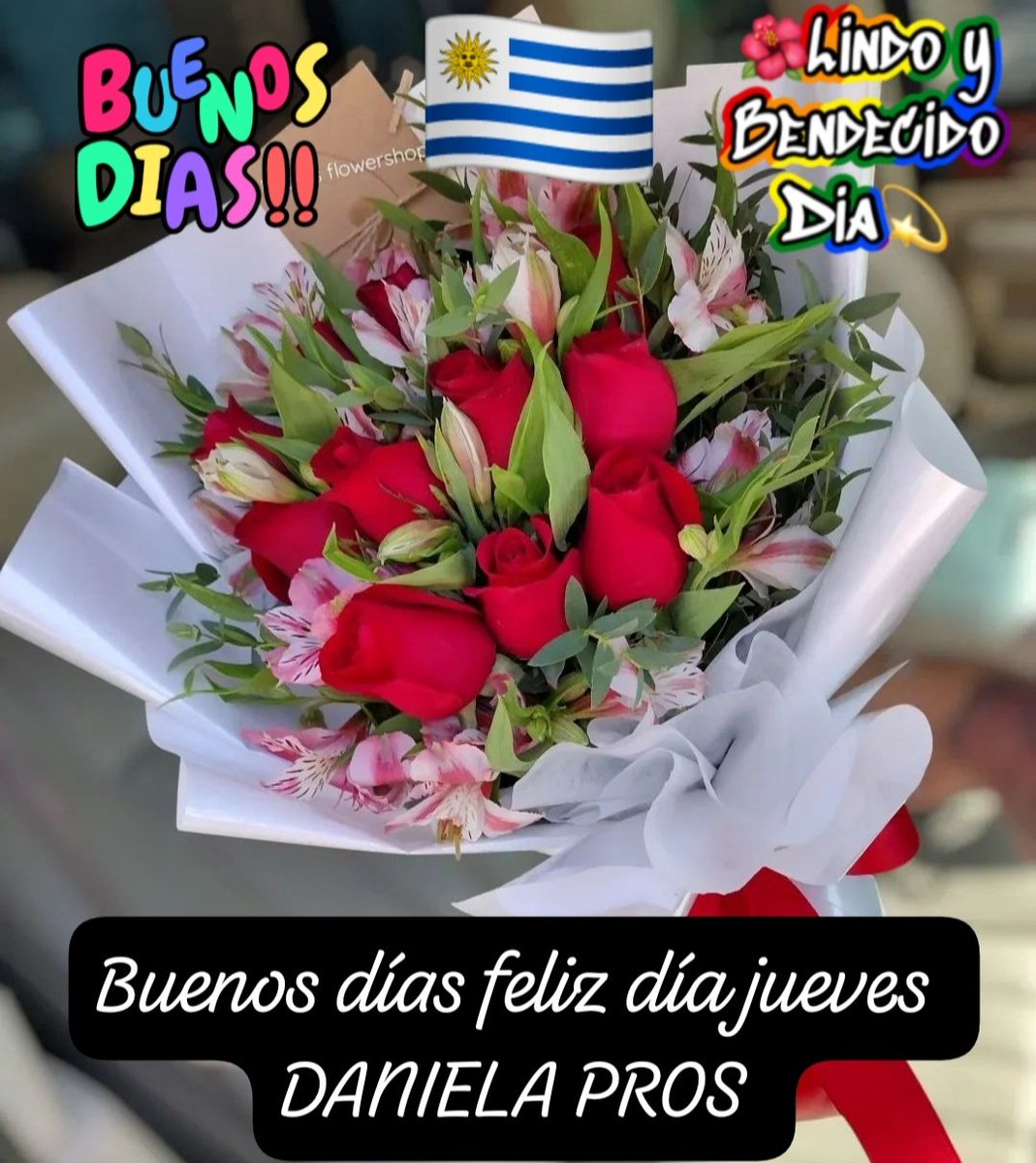 Buenos días feliz día jueves 
<a href="/Danidreams33/">Daniela Pros</a>