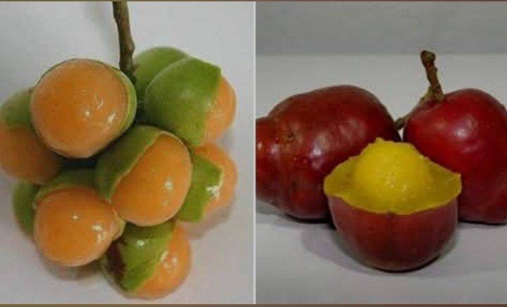 Italyano tweet media