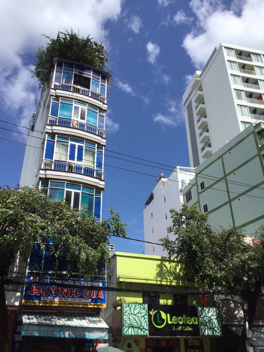 Peter Sean Woltemade tweet media