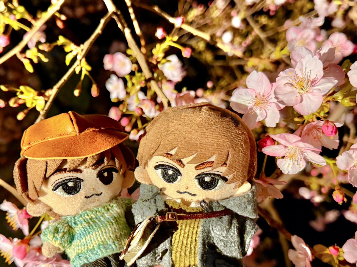 らて (@latte_2705) / Posts / X