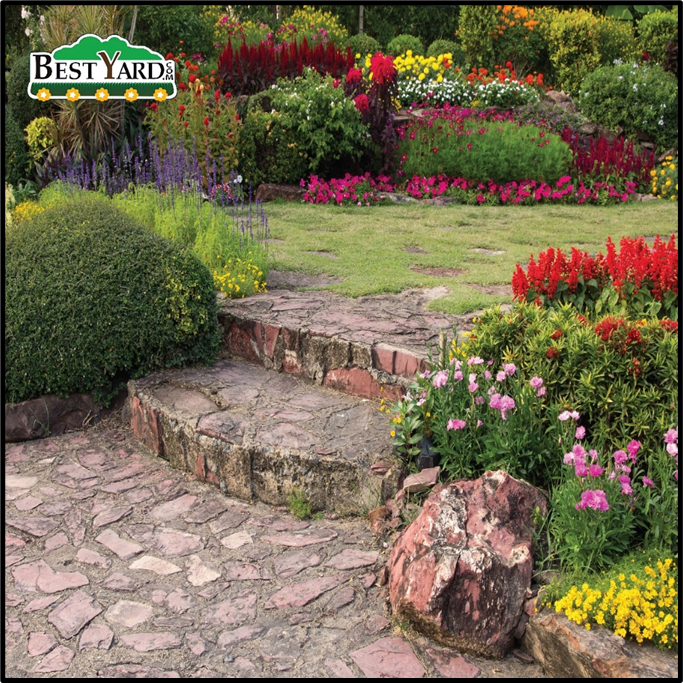 BestYard tweet media