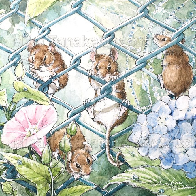 Mika＠ねずみ絵描き tweet media