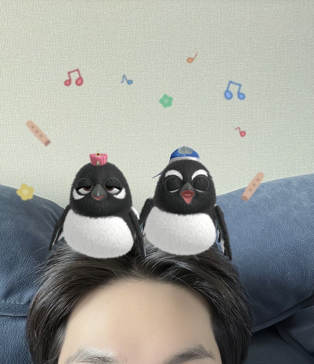 궁빵໒꒱ tweet media