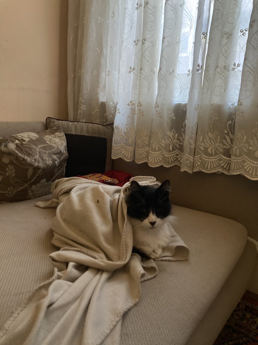 Emrah Keskiner tweet media