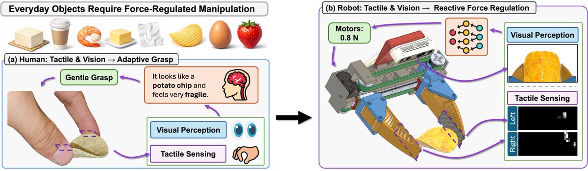 Xuhui Kang tweet media