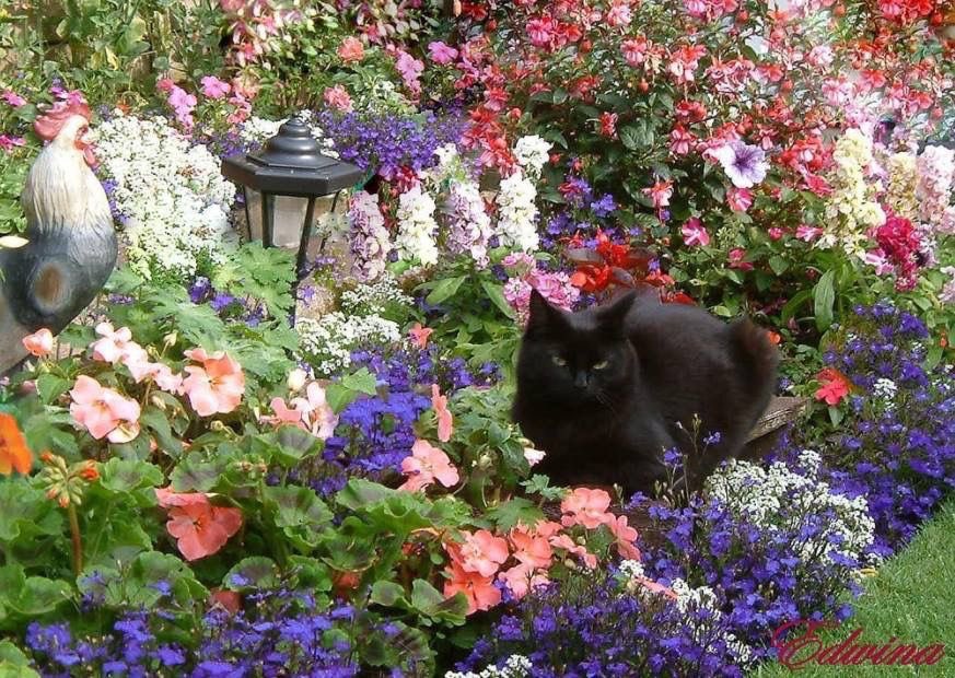 ✮⋆˙ (@dmugg7) on Twitter photo 