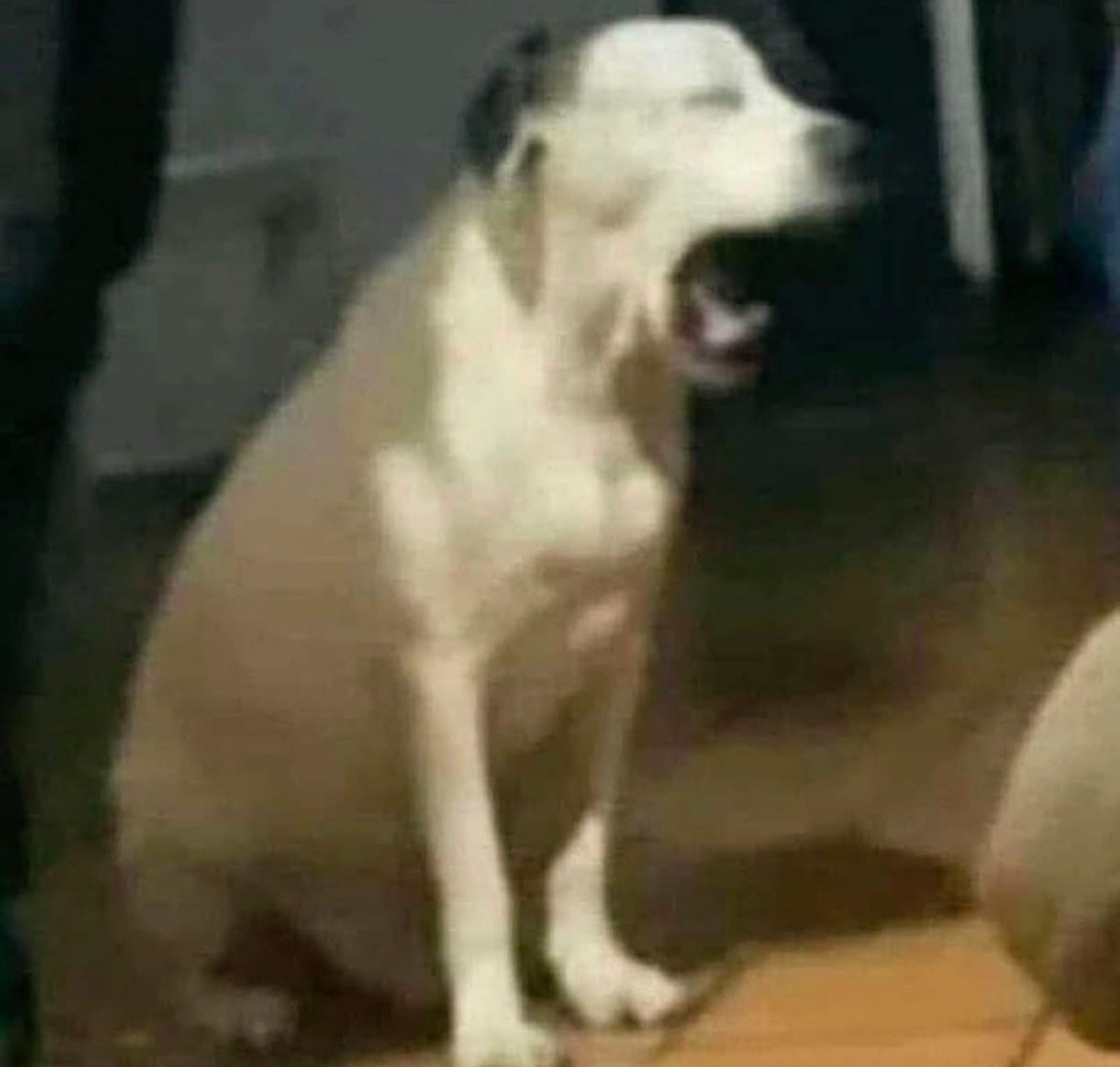 *Pongo un pie en el trabajo*

Yo: