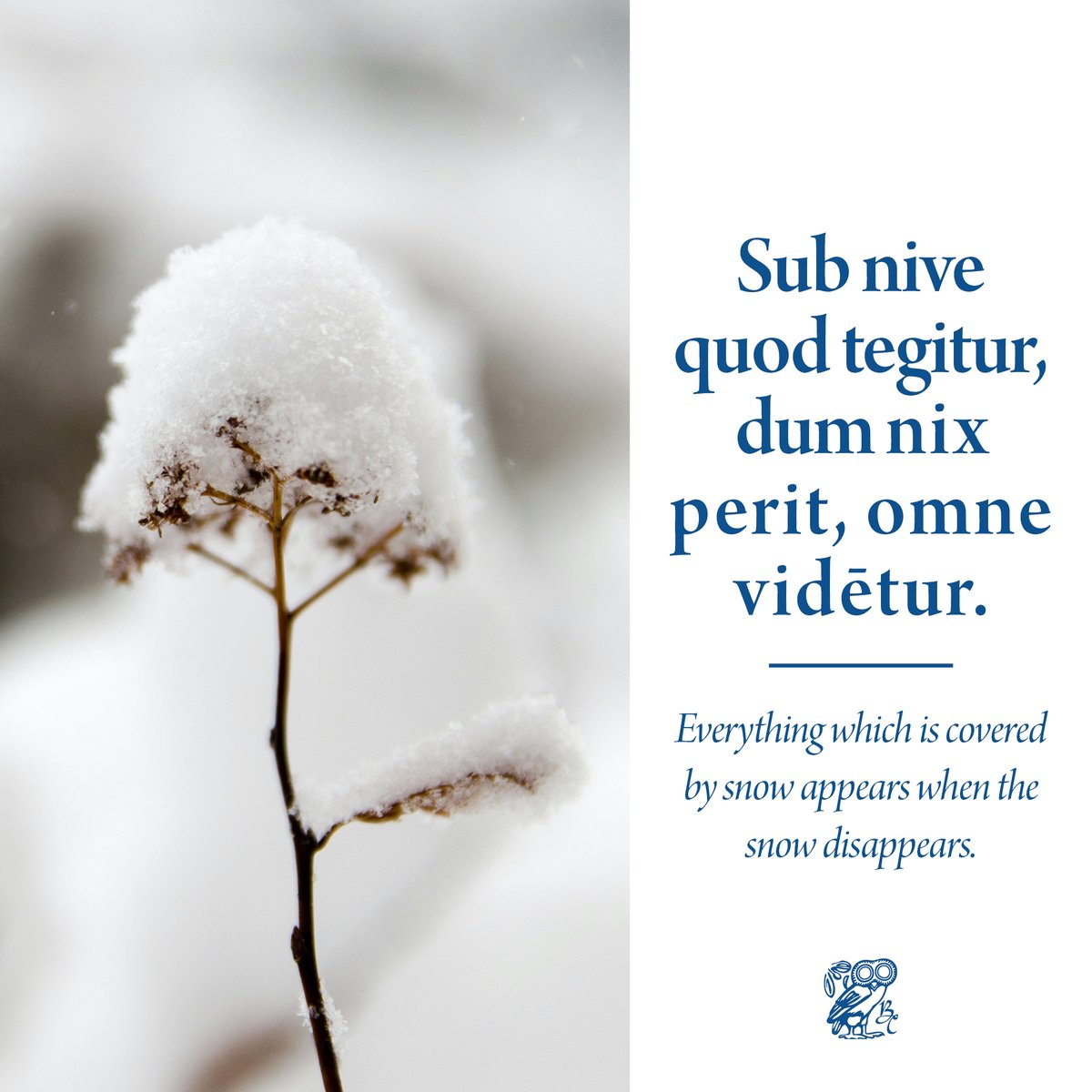 Bolchazy-Carducci tweet media