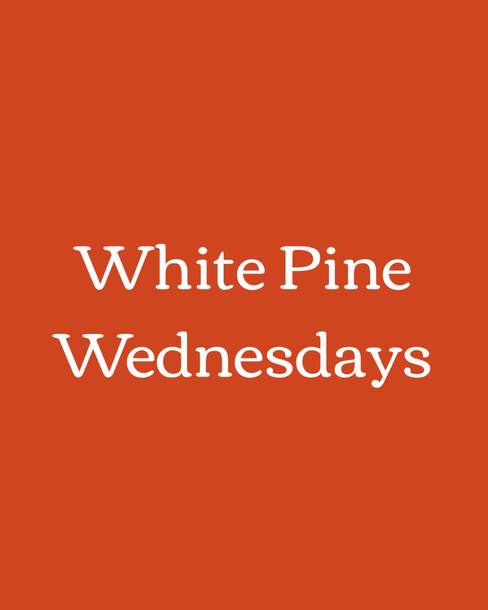 Telling Tales tweet media