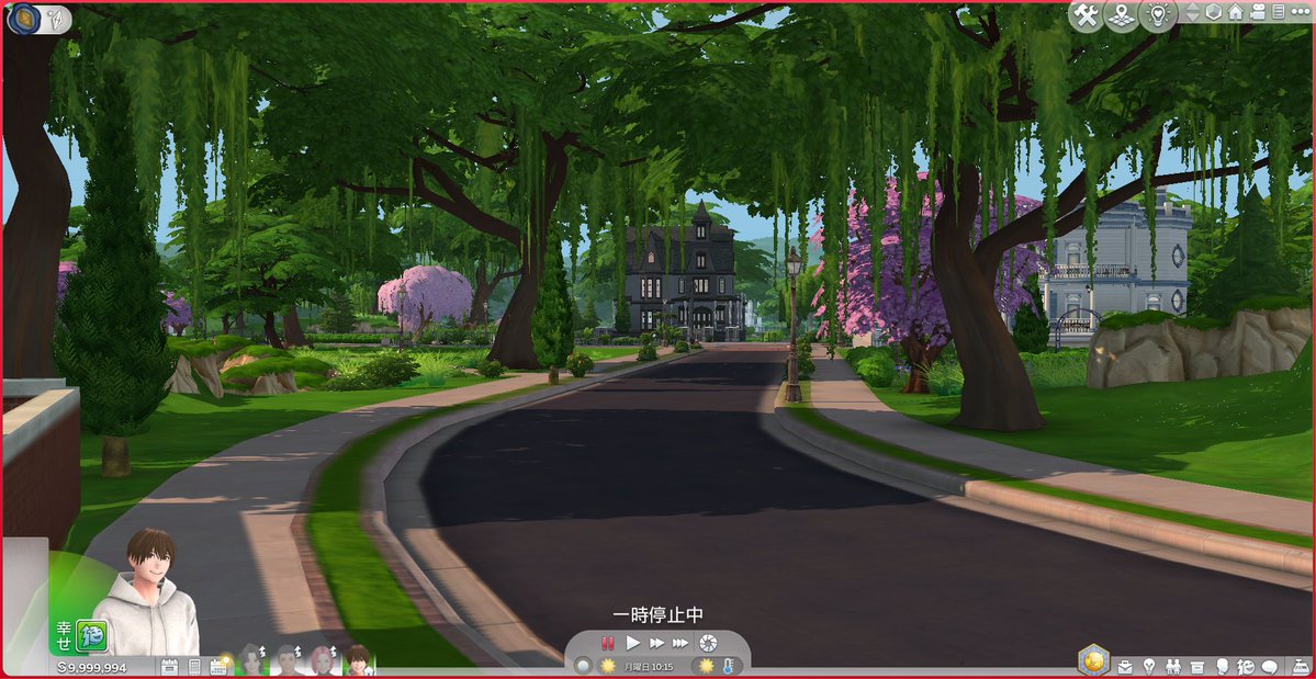 垂れてるのはシダ植物？