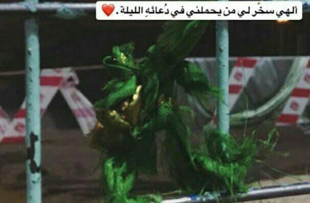 ابو عبدالله القريشي tweet media