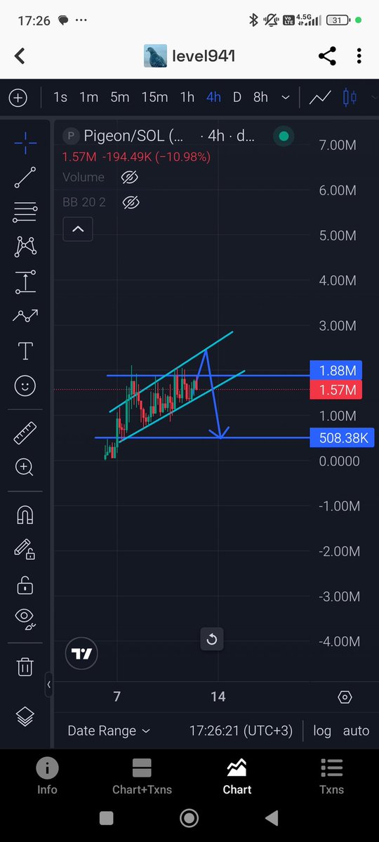 It looks a bit dangerous 🤨   $pigeon