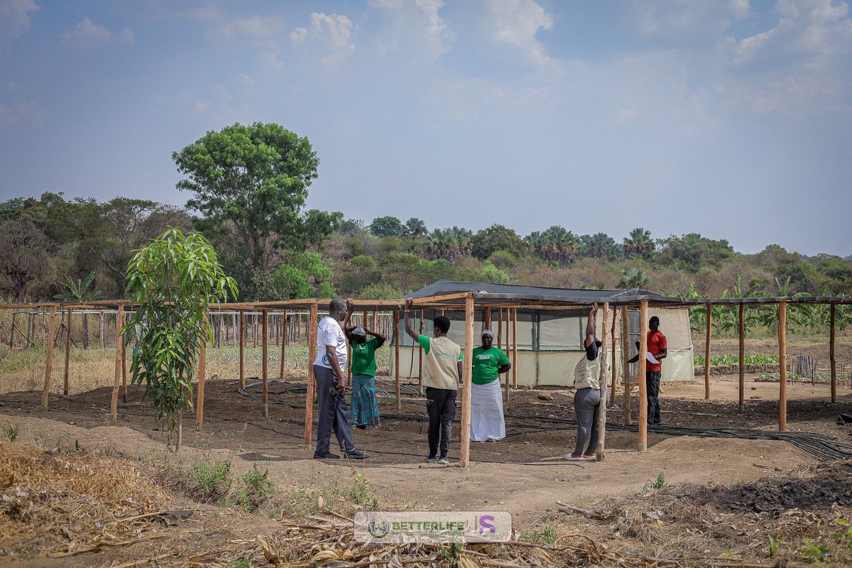 BetterLife International Organization tweet media