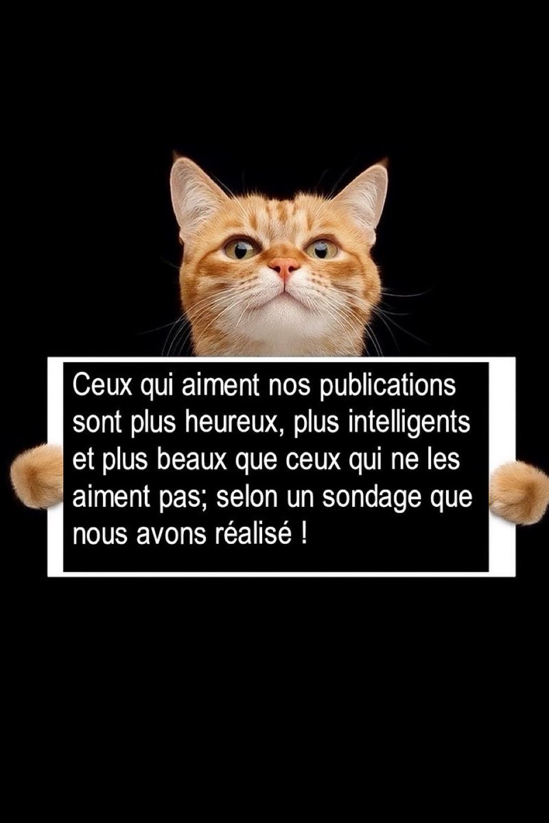 Instant cirage de pompes 😅😁👍🏻⬇️