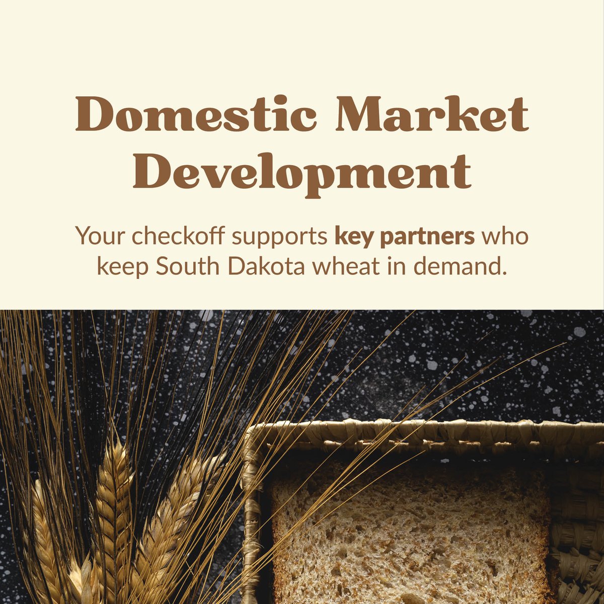 SD Wheat  tweet media