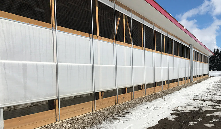 Dave Orth tweet media