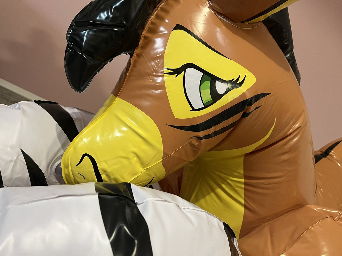 Gray (Grace) tweet media