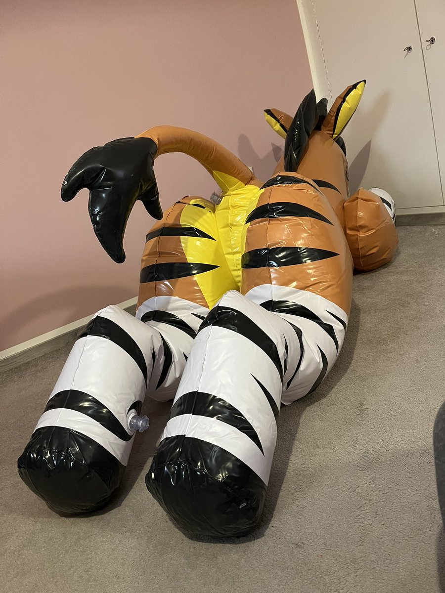 Gray (Grace) tweet media