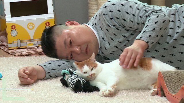 요즘 매일매일  알바하고  공부하고 알바하고 친구만나고 공부하는 계획 실천하느라 제 일상이 좀 바빠졌어요 
또 집에 오면 바로 드러눕고 자는게 습관이 돼서 트위터에 글 남길 시간이 없네요 
잘 안와도 좀 봐줘..
트윗은 다 정독하고 있어요