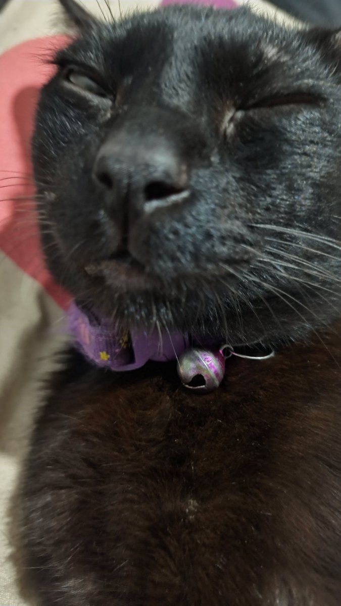 What a way to wake up

This little shit decided to piss on me to check if I was alivd